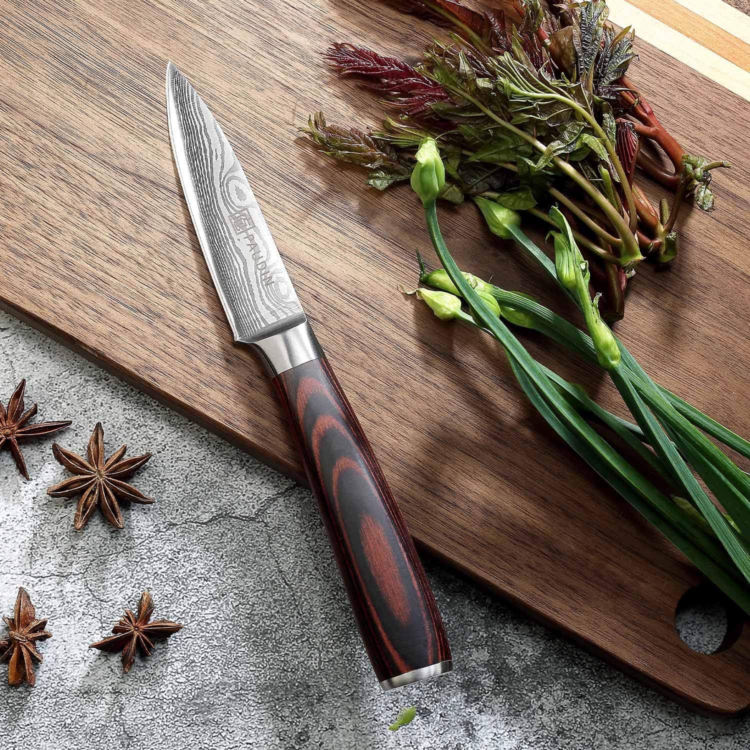 PAUDIN Paring Knife close-up edge highlighting precision control