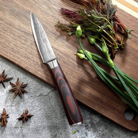PAUDIN Paring Knife close-up edge highlighting precision control