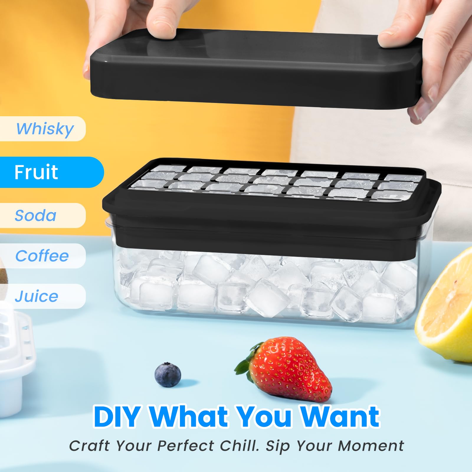 PHINOX airtight lid seals the tray to prevent spills and odors.