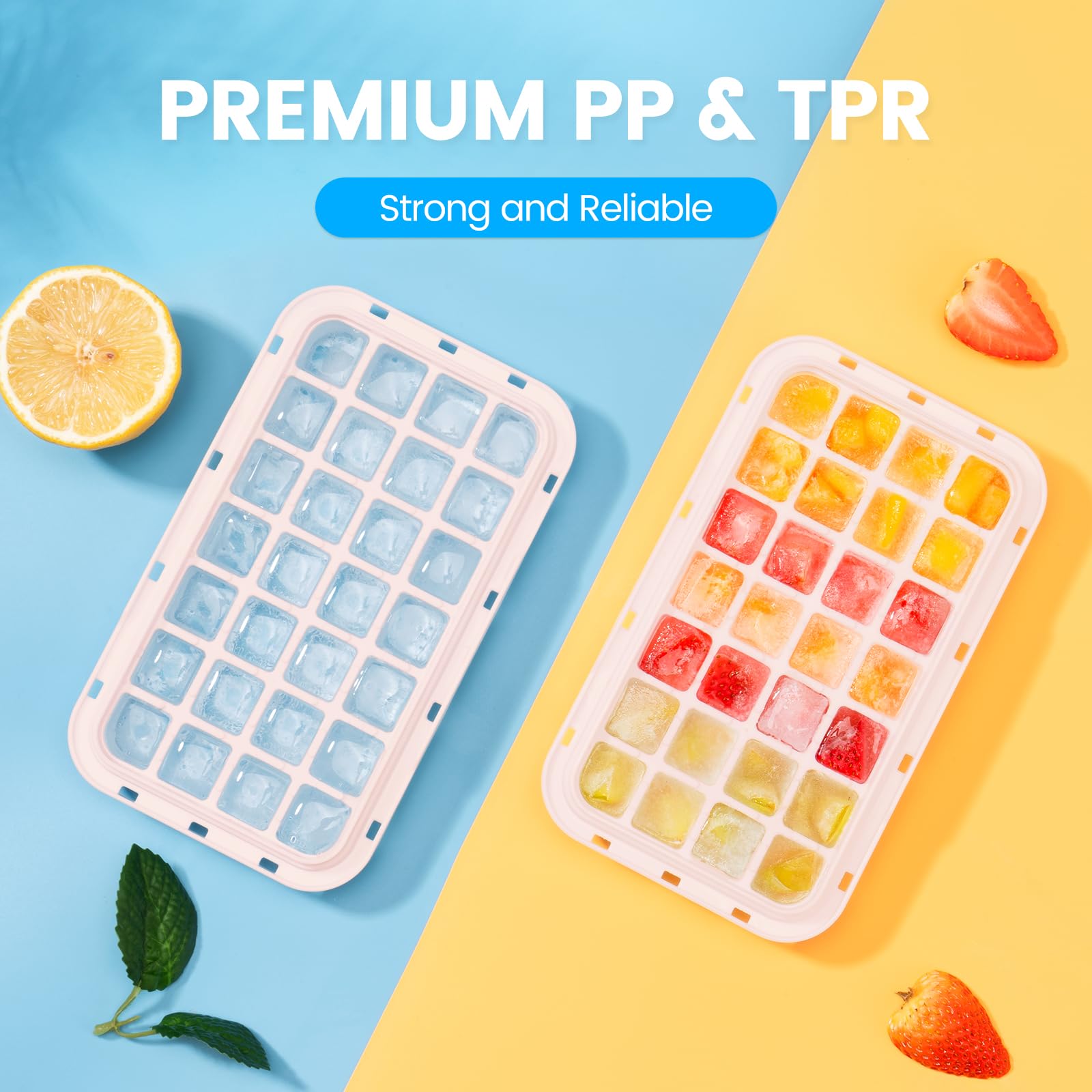 PHINOX airtight sealing lid blocks odor and leaks.