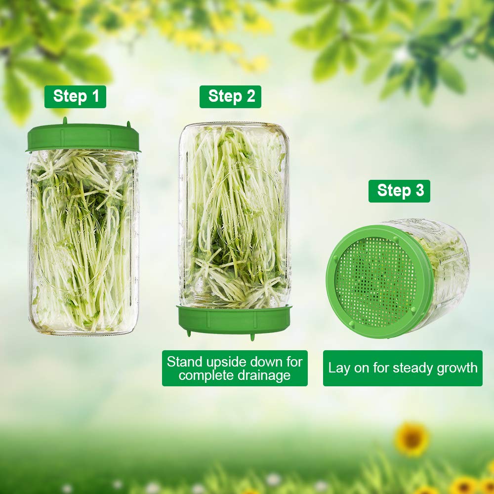Picowe lid supports dense sprouts like broccoli and alfalfa