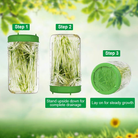 Picowe lid supports dense sprouts like broccoli and alfalfa