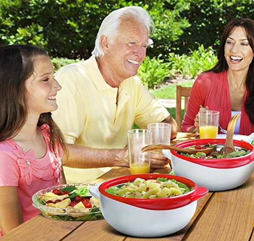 Pinnacle thermo bowls red maintain temperature for meals