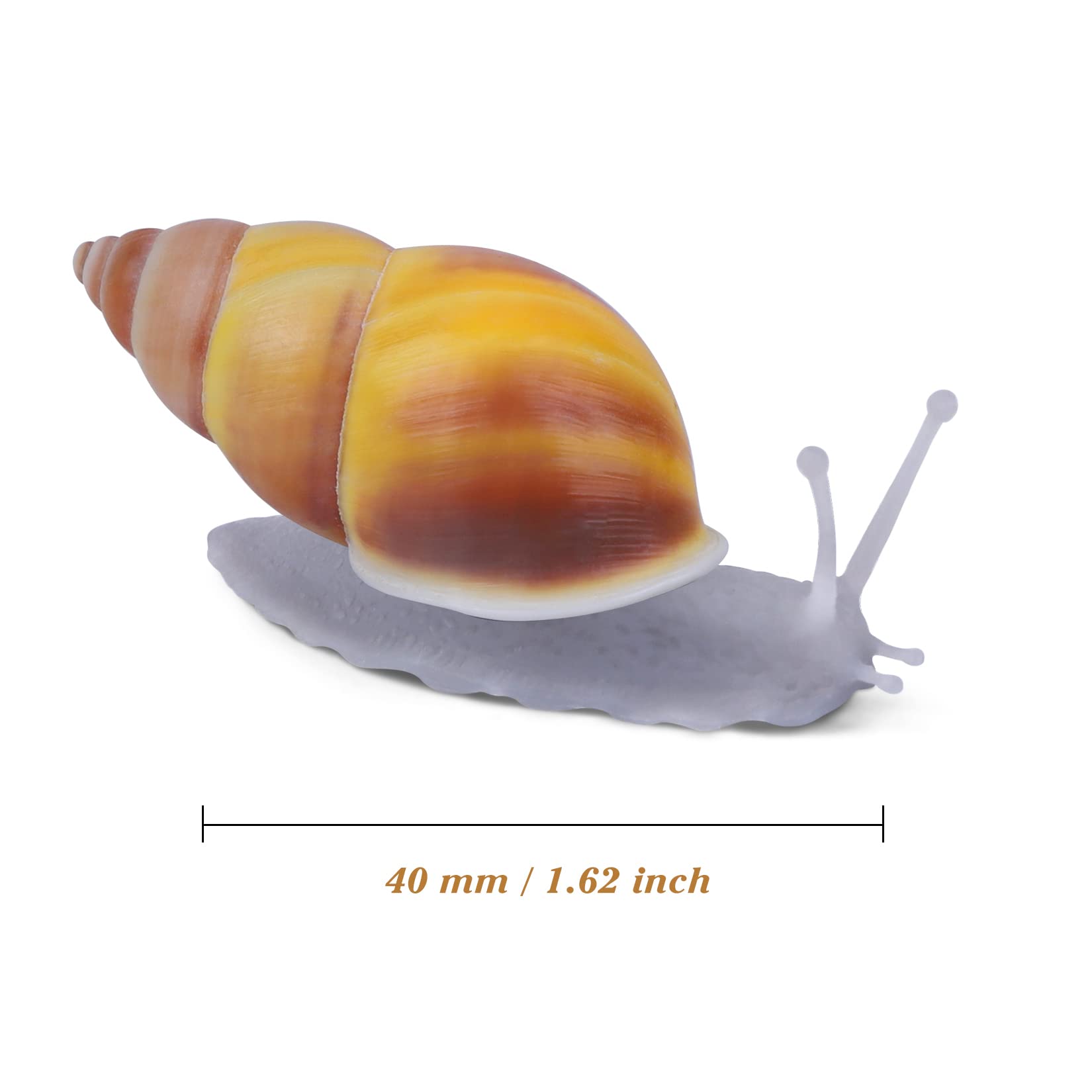 PPCLION snail-shell magnet full view highlights natural textures on fridge