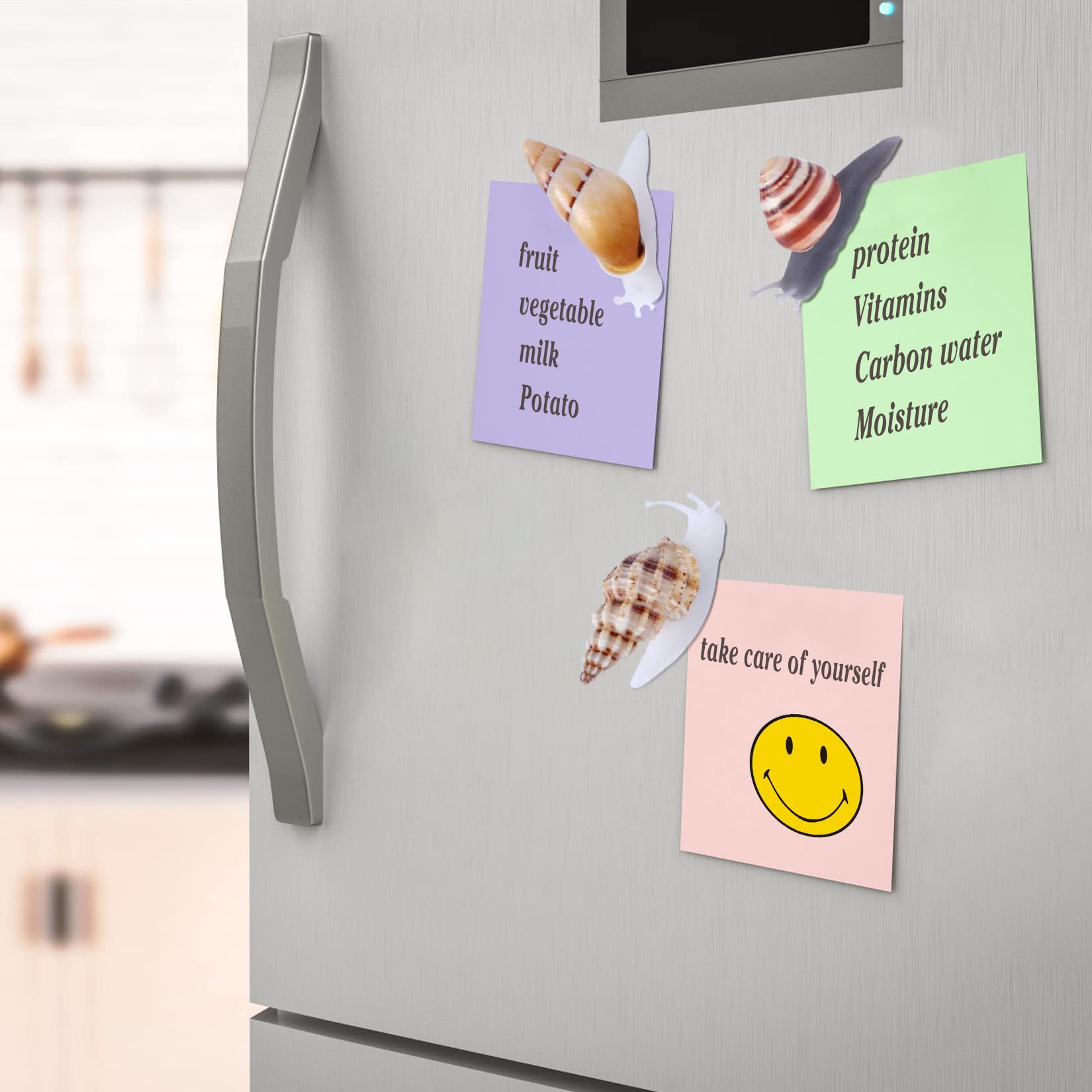 PPCLION snail-shell magnet on fridge demonstrates natural art on metal surface