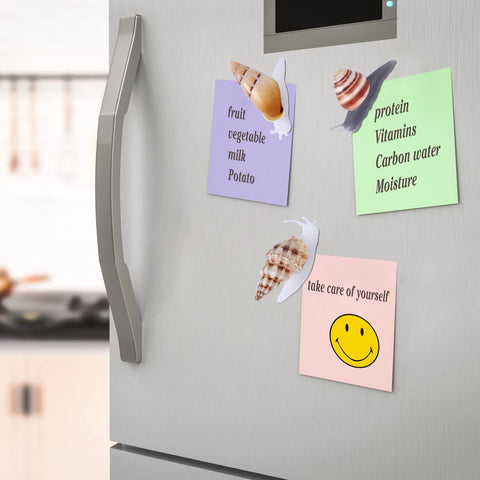 PPCLION snail-shell magnet on fridge demonstrates natural art on metal surface