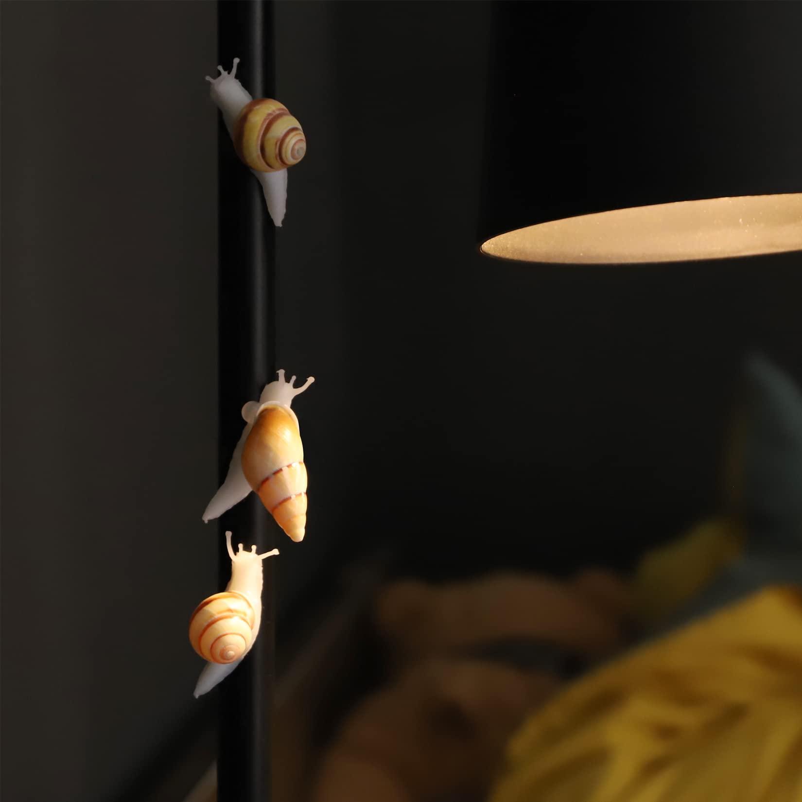 PPCLION snail-shell magnets seven-pack display for versatile decor