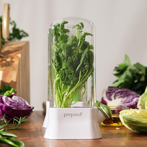 Prepara Herb Savor Eco crystal greenhouse protects leaves while they breathe.