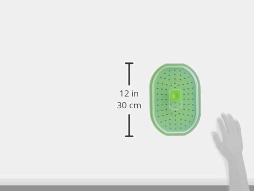 PrepSolutions steamer features non-stick surface for easy cleanup after meals.