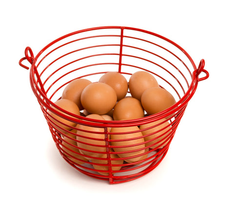 PH Prevue Hendryx egg basket 8-inch top view highlights open design for dirt to fall away.