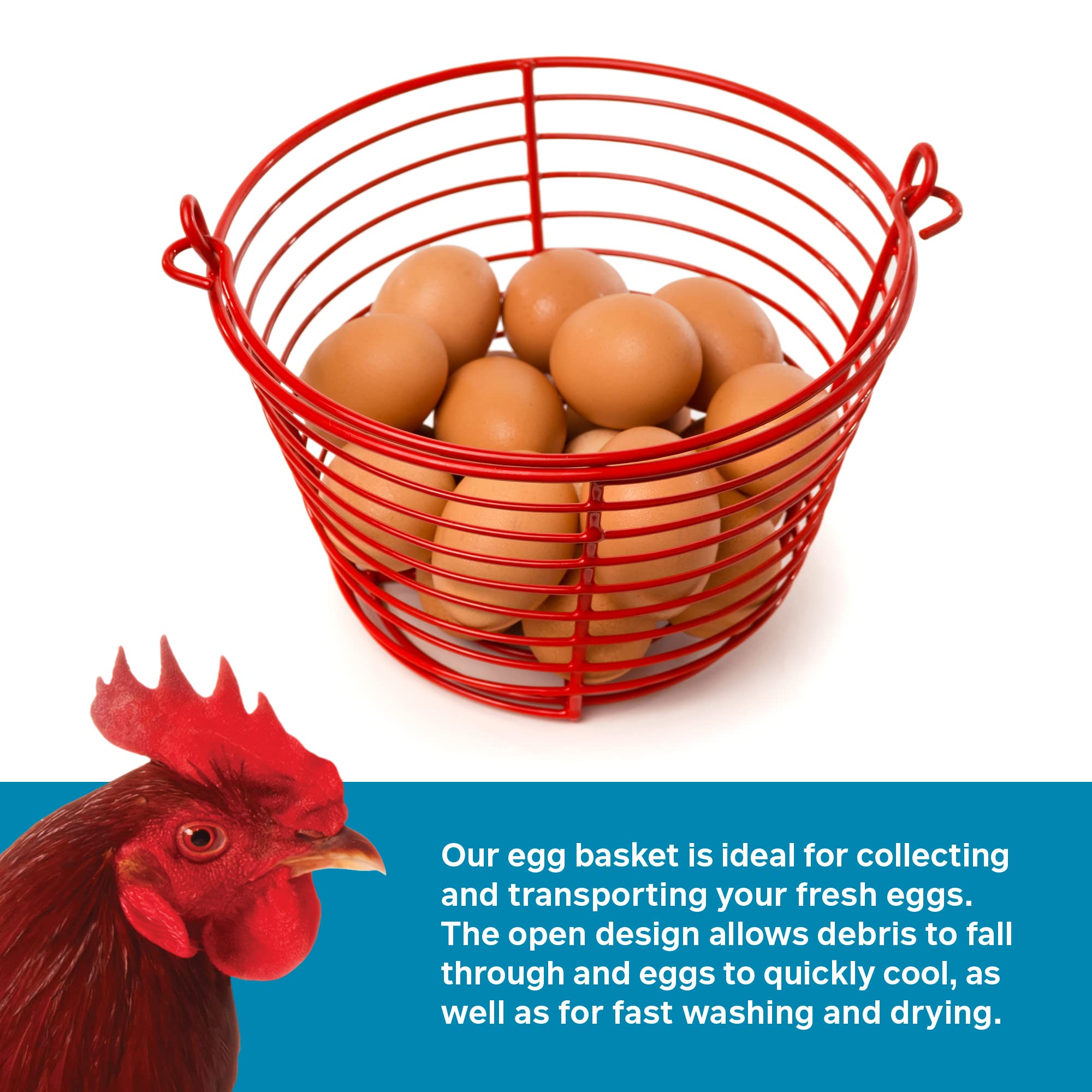 PH Prevue Hendryx egg basket holds 24 to 36 eggs for daily collection.