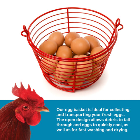 PH Prevue Hendryx egg basket holds 24 to 36 eggs for daily collection.