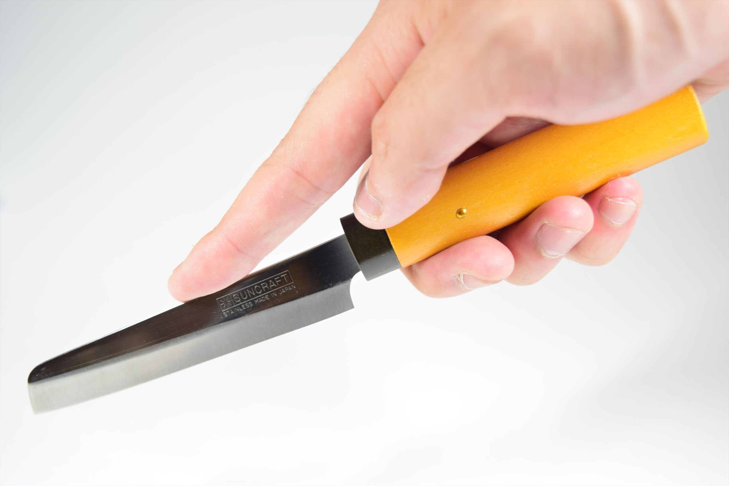 Small fruit knife with rectangular edge for versatile food prep