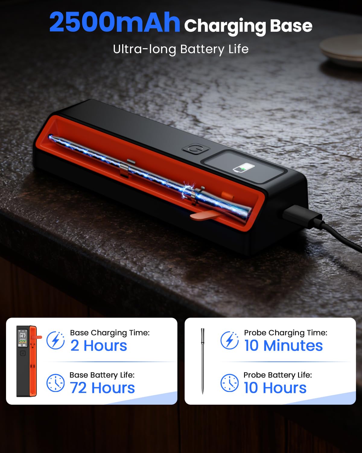 PROGRACE 72+ hour probe battery for long cooking sessions.
