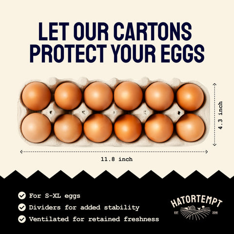 PTCOM Hatortempt market-ready carton with pre-printed messages for small biz