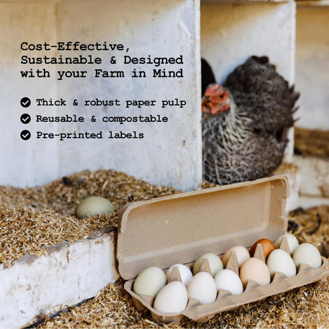 PTCOM Hatortempt carton made from recycled pulp, eco-friendly protection for eggs