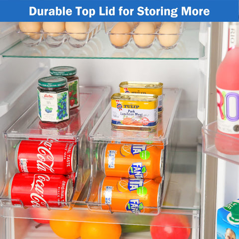 Puricon organizer with lid stacked to save freezer space.