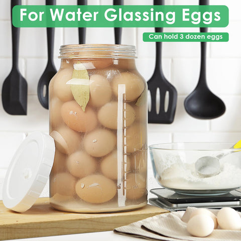 Qianfenie clear glass jar showing fermentation progress with visible bubbles