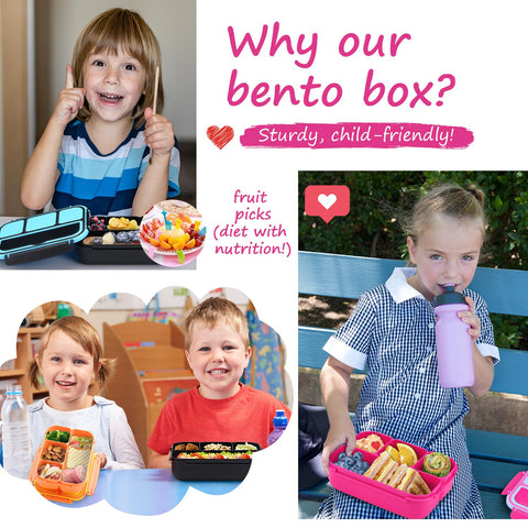 QQKO bento set ideal for school, work, or weekend picnics in cheerful pink blue