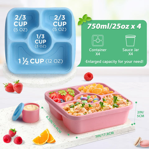 QQKO Bento Box 750ml capacity highlights portion control and versatile meals