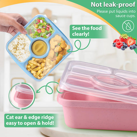 QQKO Bento Box with sauce cups for dips and toppings on the go