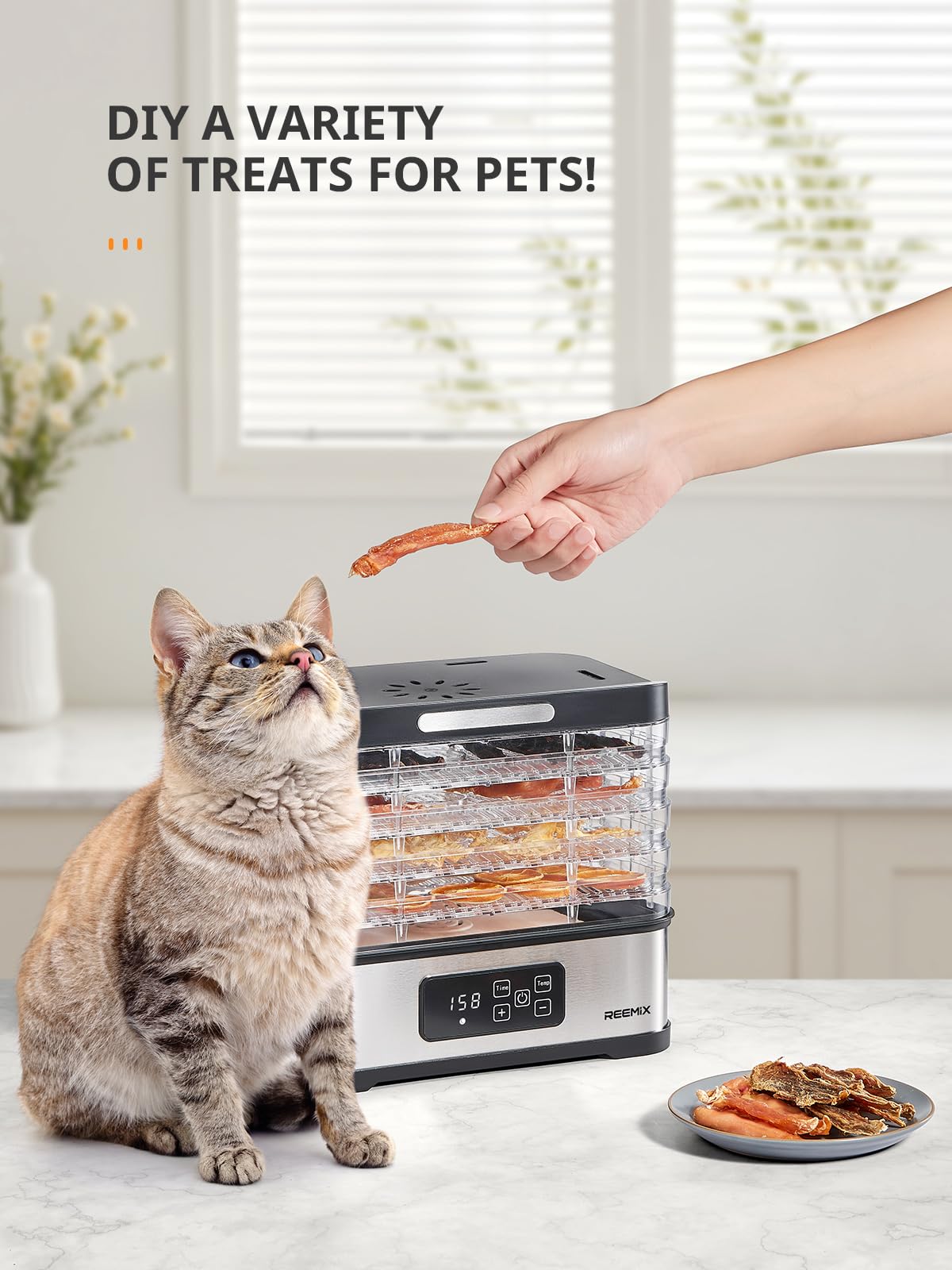 Reemix kitchen setup on counter for healthy snack preparation.