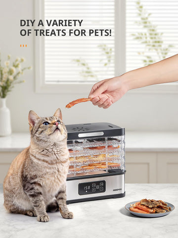 Reemix kitchen setup on counter for healthy snack preparation.