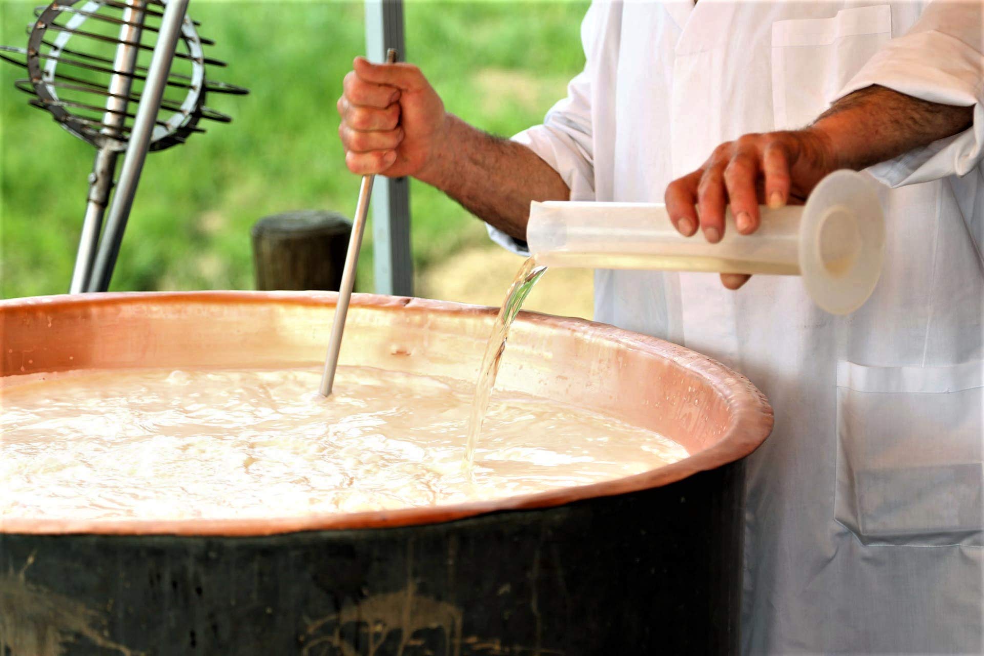 Dissolving Rennet Ideal in water before milk addition