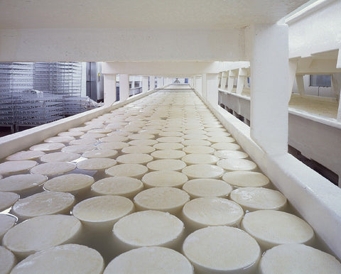 Vegetarian cheese possible with Rennet Ideal