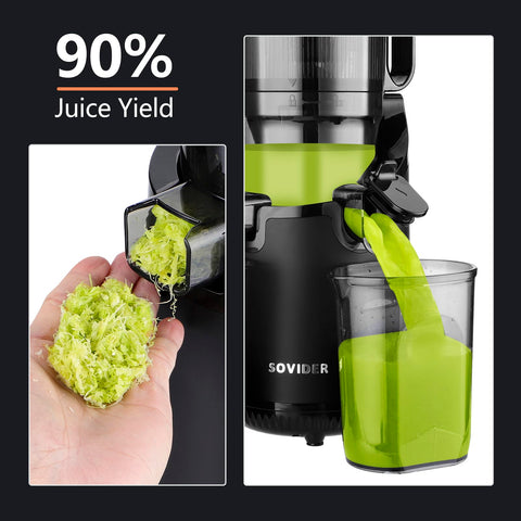 REPALY juicer auger showing efficient extraction for flavorful juice