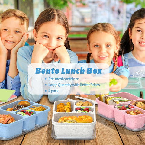RGNEIN bento box four-color options suit any pack.