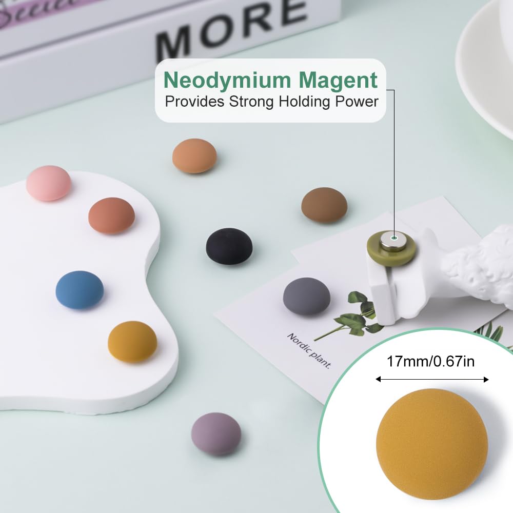 Rhinocats strong neodymium magnets securely hold photos and notes.