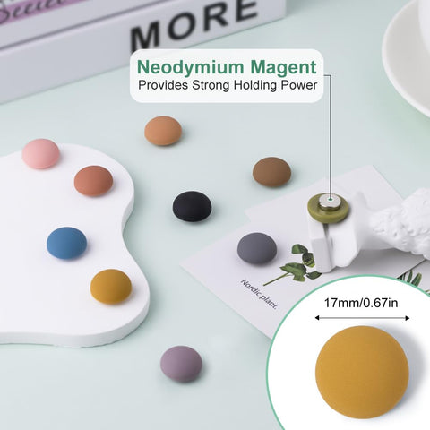 Rhinocats strong neodymium magnets securely hold photos and notes.