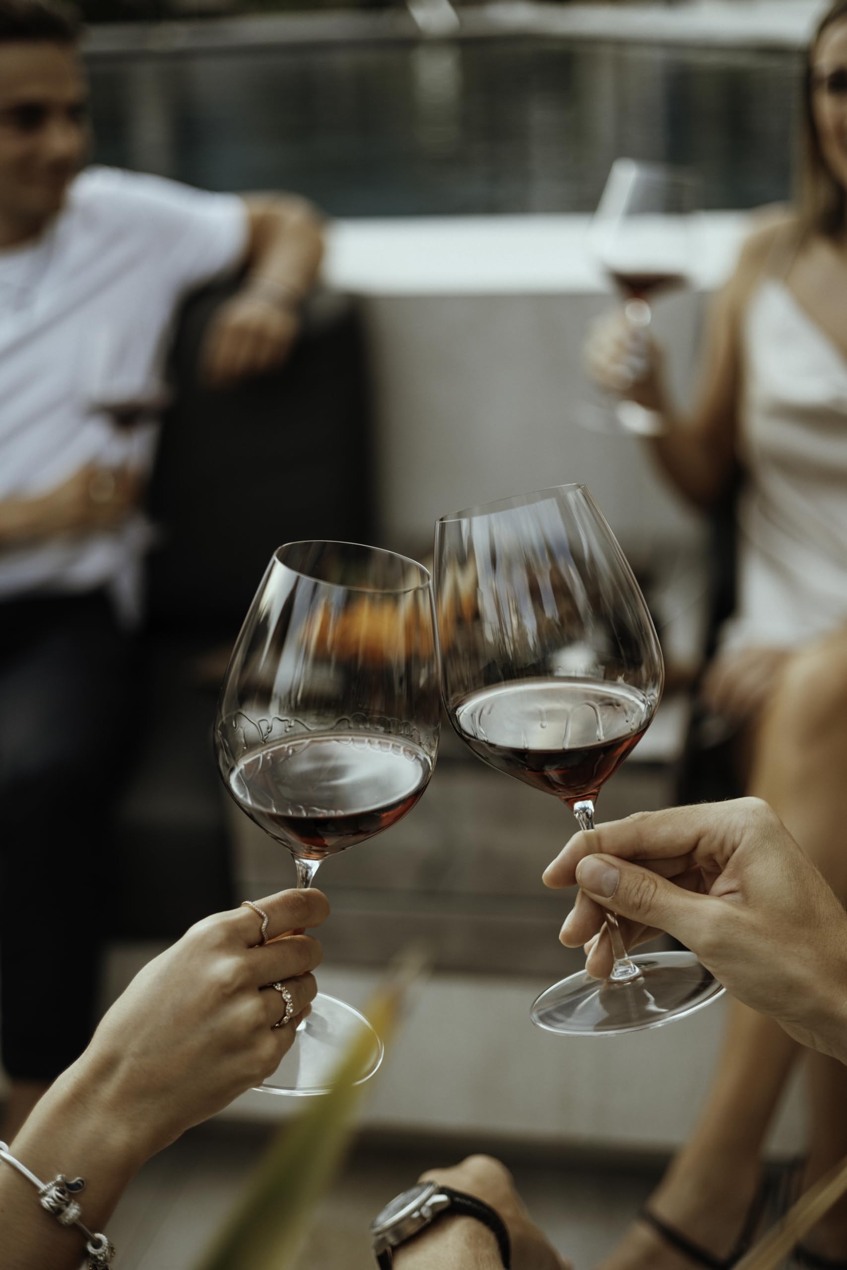 Riedel Performance crystal-clear glass reveals clarity and brilliance on every pour.