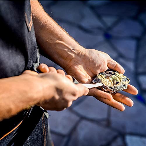 Rockland Guard oyster knives in a 2-pack great for sharing or gifting.