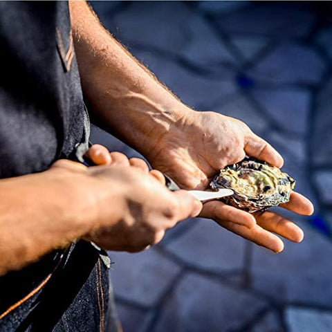 Rockland Guard oyster knives in a 2-pack great for sharing or gifting.