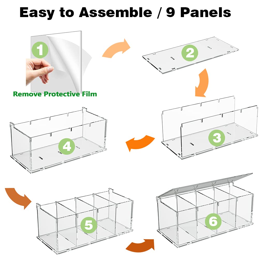 RR RAXMIN clear acrylic 4-compartment capsule organizer on kitchen counter