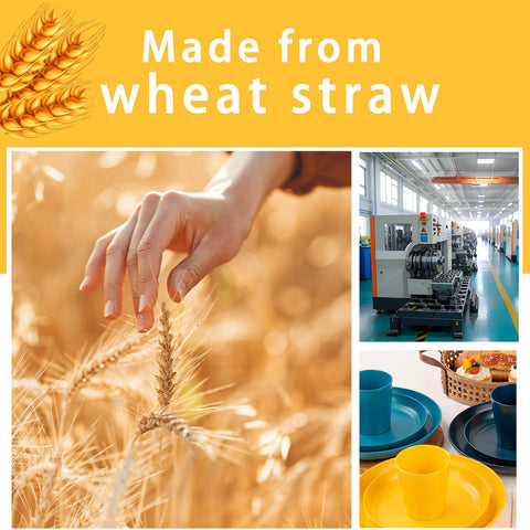 Rubtlamp plates and bowls are lightweight yet sturdy for everyday use.