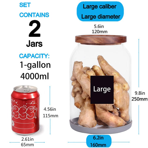 SAIOOL set of 2 glass jars with airtight lids for dry goods.