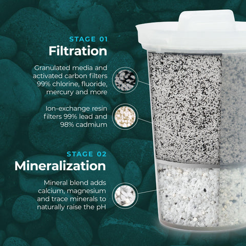Santevia MINA reduces lead and chlorine for crisper, safer-tasting tap water.