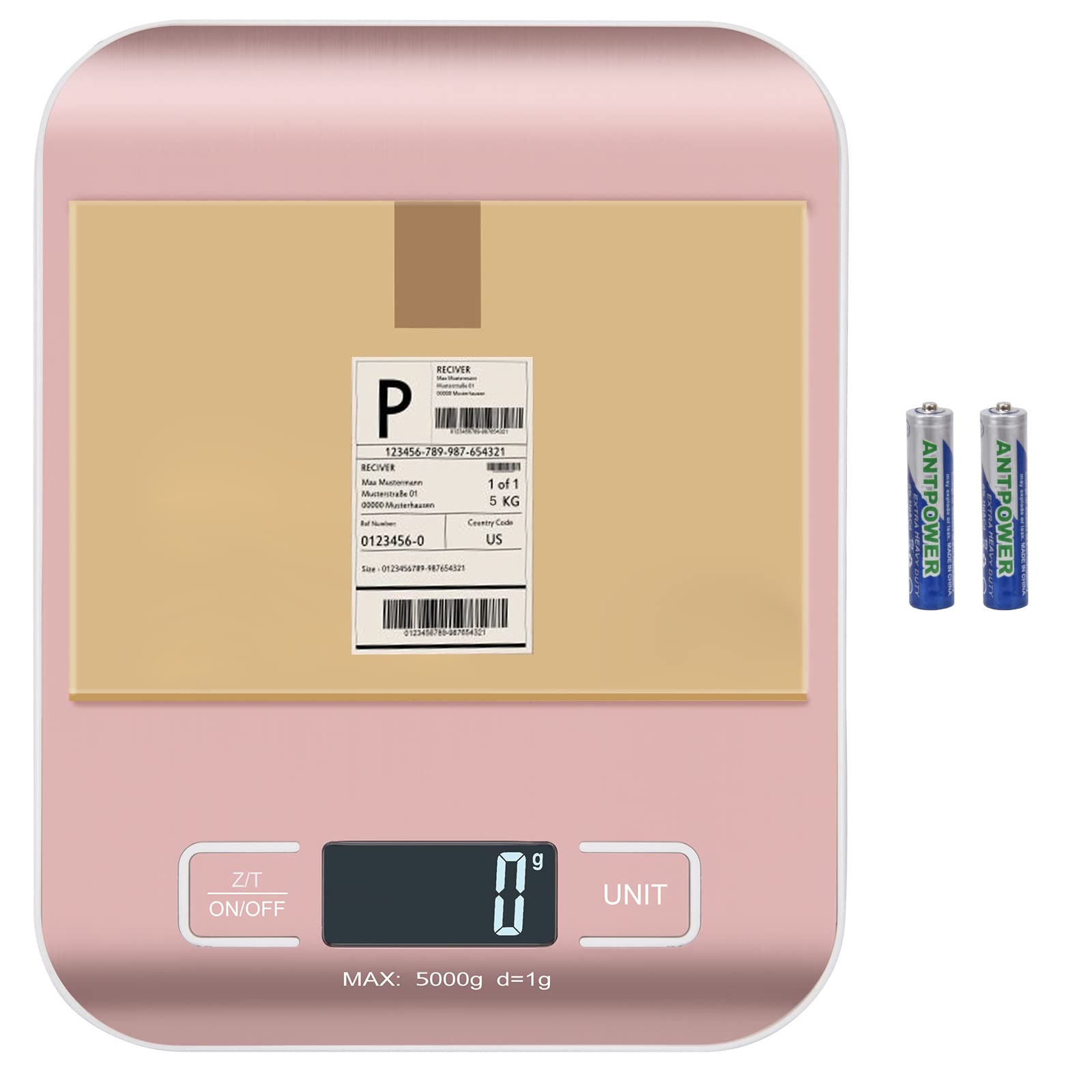 Selegere scale featuring stainless steel panel for durable, easy-clean use.