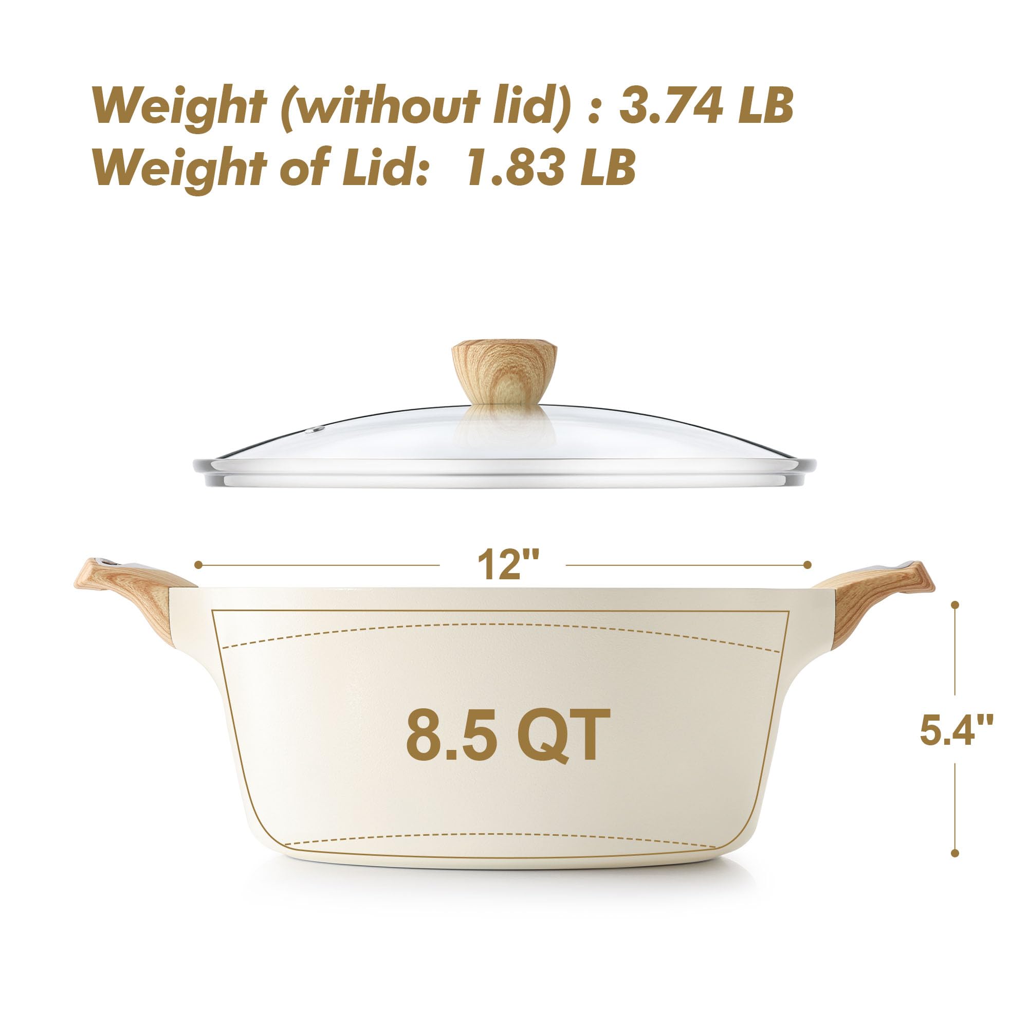 SENSARTE induction-ready stock pot bottom showing even heat distribution