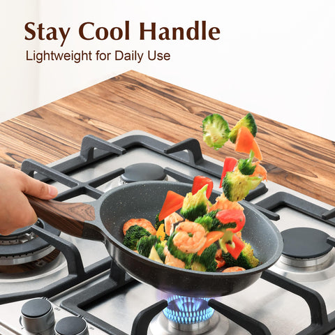 SENSARTE Swiss-like nonstick coating reduces sticking with less oil
