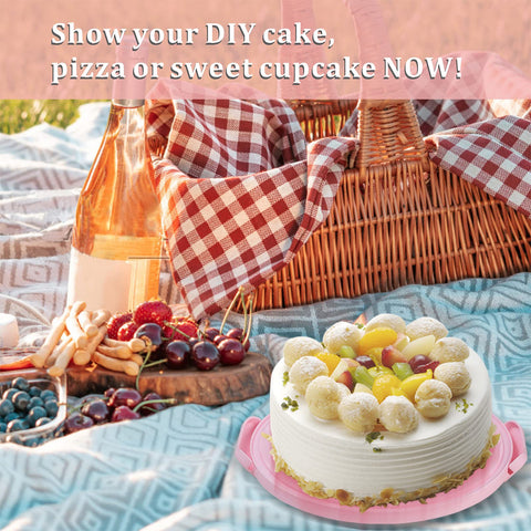 SETLUX easy-clean cake container ready for washing