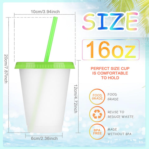 Dimensions show bottom diameter 6 cm for Sieral cups