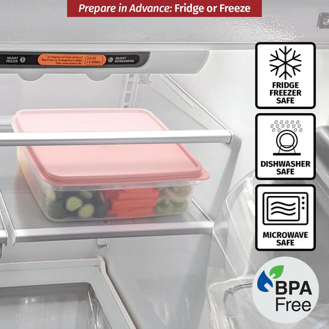 Signora Ware cookie and cupcake container keeps treats fresh and organized