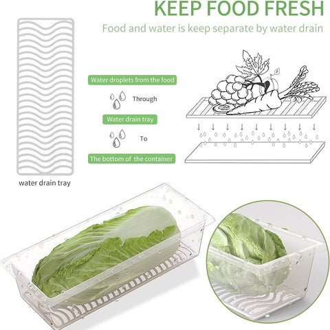 SILIVO 11.5x4.7x2.8 inch container fits berries and greens.