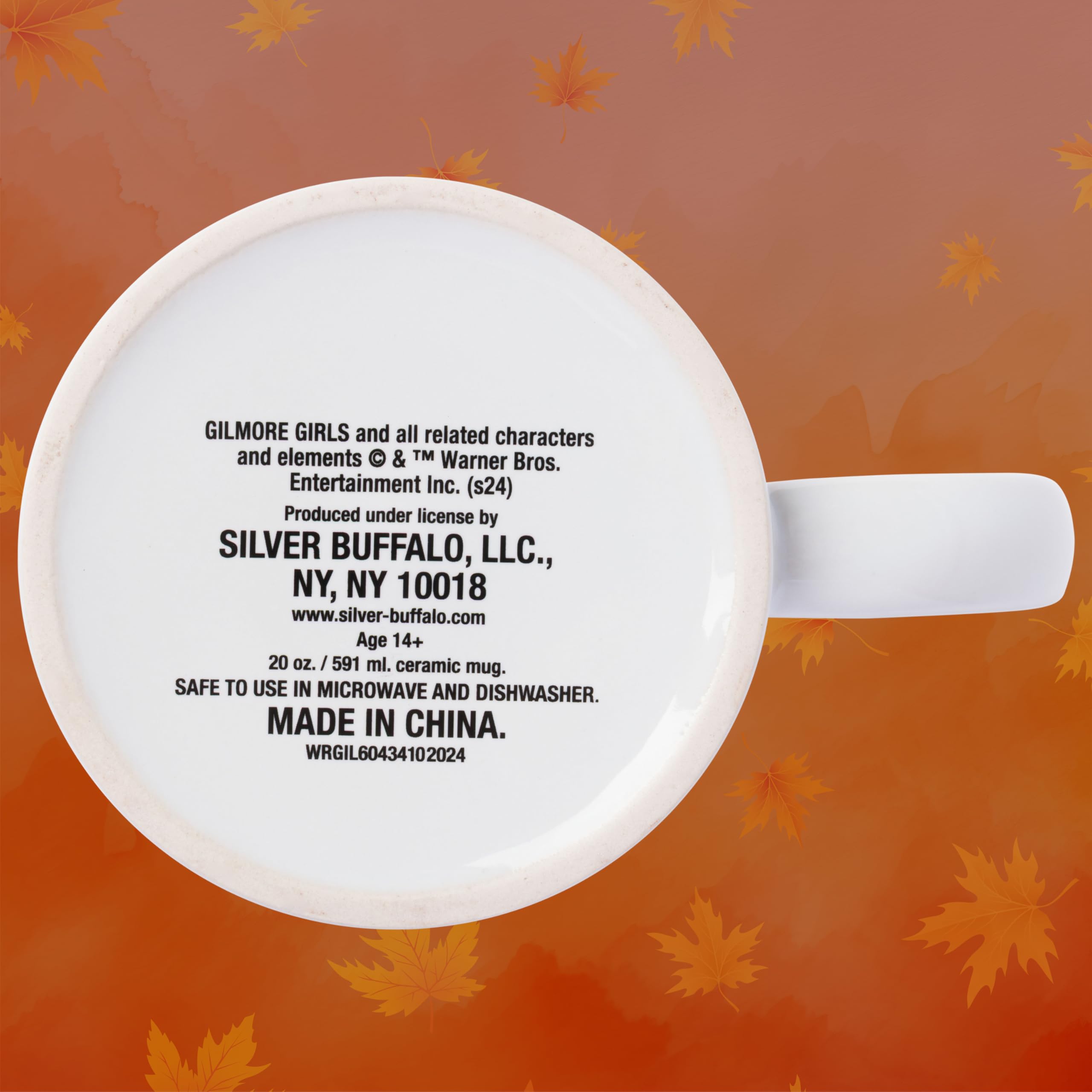 Silver Buffalo collectible mug for Lorelai, Rory, and Kirk fans.