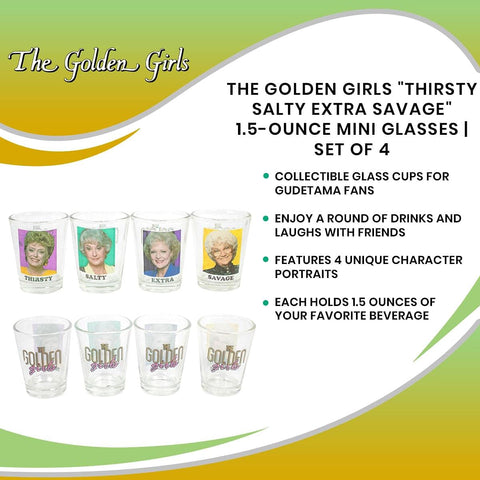 Silver Buffalo Golden Girls gift-ready set for fans and collectors.