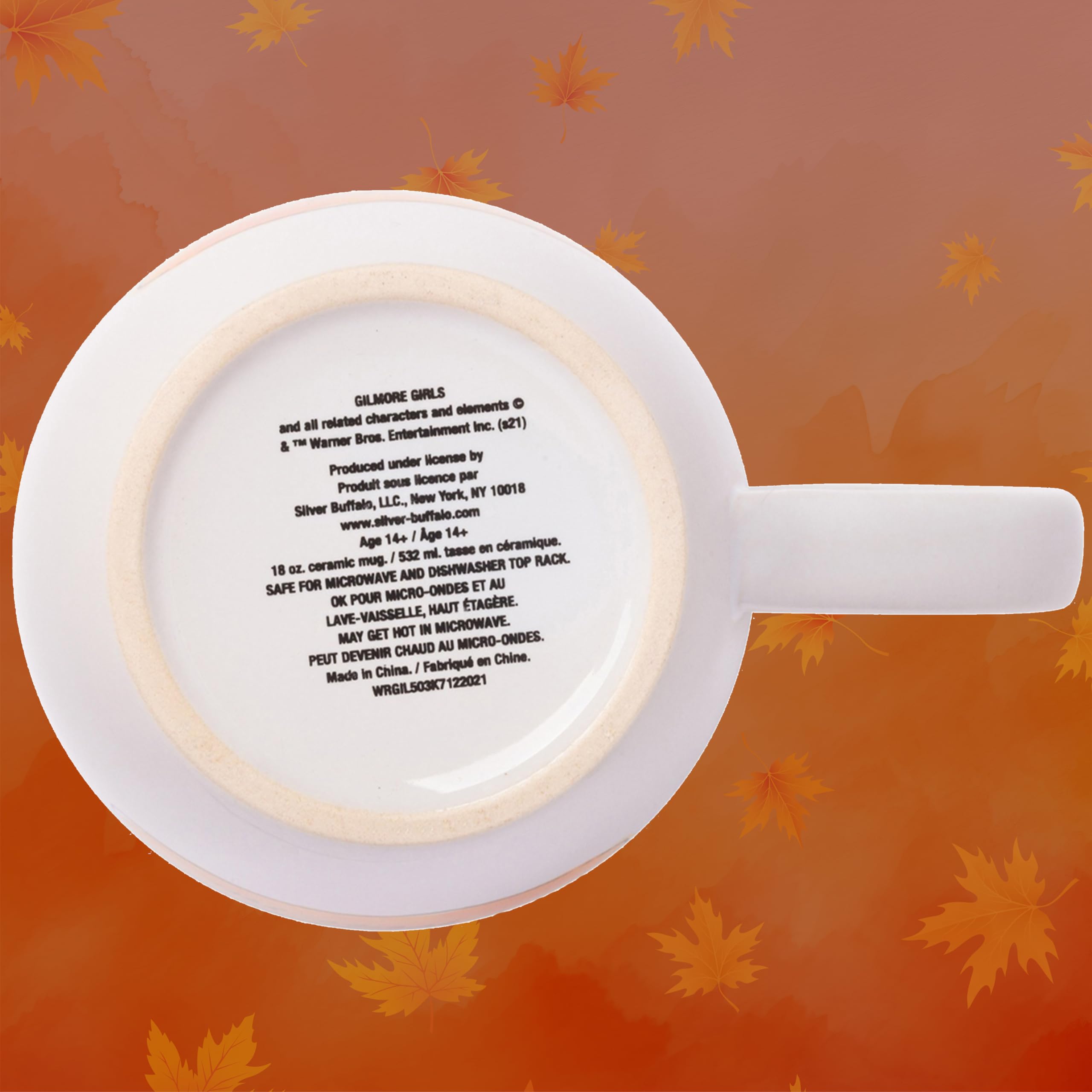 Gift-ready Silver Buffalo mug for Gilmore Girls fans.